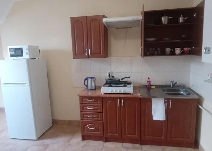 Doba - центр 1 кім 5 міс завжди тепла ! Apartment *